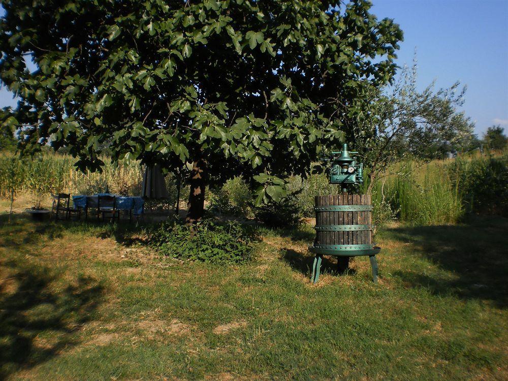 Green Fields Padova Exteriér fotografie